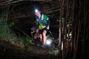 BIB: 
                            <button type="button" onclick="openModal(13556389)" class="btn btn-primary btn-sm float-right btn-popup" data-toggle="modal" data-target=".modal-high-quality">
                        <i class="fas fa-shopping-cart"></i> Add to Cart
                    </button>
                                            <button type="button" onclick="isThisMe(13556389, true)" class="btn btn-success btn-sm float-right btn-popup btn-isme hidden" data-toggle="tooltip" data-placement="bottom" title="นี่คือรูปของคุณใช่ไหม คลิกที่นี่เพื่อเอาเข้าอัลบั้ม">
                        <i class="fas fa-plus"></i> Add to album
                    </button>
                    <button type="button" onclick="isThisMe(13556389, false)" class="btn btn-warning btn-sm float-right btn-popup btn-isnotme hidden">
                        <i class="fas fa-ban"></i> Remove from album
                    </button>