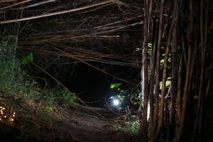 BIB: 
                            <button type="button" onclick="openModal(13557623)" class="btn btn-primary btn-sm float-right btn-popup" data-toggle="modal" data-target=".modal-high-quality">
                        <i class="fas fa-shopping-cart"></i> Add to Cart
                    </button>
                                            <button type="button" onclick="isThisMe(13557623, true)" class="btn btn-success btn-sm float-right btn-popup btn-isme hidden" data-toggle="tooltip" data-placement="bottom" title="นี่คือรูปของคุณใช่ไหม คลิกที่นี่เพื่อเอาเข้าอัลบั้ม">
                        <i class="fas fa-plus"></i> Add to album
                    </button>
                    <button type="button" onclick="isThisMe(13557623, false)" class="btn btn-warning btn-sm float-right btn-popup btn-isnotme hidden">
                        <i class="fas fa-ban"></i> Remove from album
                    </button>