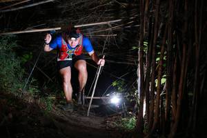 BIB: 
                            <button type="button" onclick="openModal(13560091)" class="btn btn-primary btn-sm float-right btn-popup" data-toggle="modal" data-target=".modal-high-quality">
                        <i class="fas fa-shopping-cart"></i> Add to Cart
                    </button>
                                            <button type="button" onclick="isThisMe(13560091, true)" class="btn btn-success btn-sm float-right btn-popup btn-isme hidden" data-toggle="tooltip" data-placement="bottom" title="นี่คือรูปของคุณใช่ไหม คลิกที่นี่เพื่อเอาเข้าอัลบั้ม">
                        <i class="fas fa-plus"></i> Add to album
                    </button>
                    <button type="button" onclick="isThisMe(13560091, false)" class="btn btn-warning btn-sm float-right btn-popup btn-isnotme hidden">
                        <i class="fas fa-ban"></i> Remove from album
                    </button>