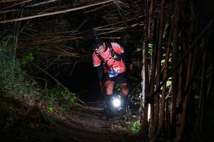 BIB: 
                            <button type="button" onclick="openModal(13559018)" class="btn btn-primary btn-sm float-right btn-popup" data-toggle="modal" data-target=".modal-high-quality">
                        <i class="fas fa-shopping-cart"></i> Add to Cart
                    </button>
                                            <button type="button" onclick="isThisMe(13559018, true)" class="btn btn-success btn-sm float-right btn-popup btn-isme hidden" data-toggle="tooltip" data-placement="bottom" title="นี่คือรูปของคุณใช่ไหม คลิกที่นี่เพื่อเอาเข้าอัลบั้ม">
                        <i class="fas fa-plus"></i> Add to album
                    </button>
                    <button type="button" onclick="isThisMe(13559018, false)" class="btn btn-warning btn-sm float-right btn-popup btn-isnotme hidden">
                        <i class="fas fa-ban"></i> Remove from album
                    </button>