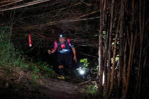 BIB: 
                            <button type="button" onclick="openModal(13565518)" class="btn btn-primary btn-sm float-right btn-popup" data-toggle="modal" data-target=".modal-high-quality">
                        <i class="fas fa-shopping-cart"></i> Add to Cart
                    </button>
                                            <button type="button" onclick="isThisMe(13565518, true)" class="btn btn-success btn-sm float-right btn-popup btn-isme hidden" data-toggle="tooltip" data-placement="bottom" title="นี่คือรูปของคุณใช่ไหม คลิกที่นี่เพื่อเอาเข้าอัลบั้ม">
                        <i class="fas fa-plus"></i> Add to album
                    </button>
                    <button type="button" onclick="isThisMe(13565518, false)" class="btn btn-warning btn-sm float-right btn-popup btn-isnotme hidden">
                        <i class="fas fa-ban"></i> Remove from album
                    </button>