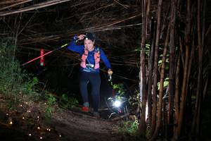 BIB: 
                            <button type="button" onclick="openModal(13564989)" class="btn btn-primary btn-sm float-right btn-popup" data-toggle="modal" data-target=".modal-high-quality">
                        <i class="fas fa-shopping-cart"></i> Add to Cart
                    </button>
                                            <button type="button" onclick="isThisMe(13564989, true)" class="btn btn-success btn-sm float-right btn-popup btn-isme hidden" data-toggle="tooltip" data-placement="bottom" title="นี่คือรูปของคุณใช่ไหม คลิกที่นี่เพื่อเอาเข้าอัลบั้ม">
                        <i class="fas fa-plus"></i> Add to album
                    </button>
                    <button type="button" onclick="isThisMe(13564989, false)" class="btn btn-warning btn-sm float-right btn-popup btn-isnotme hidden">
                        <i class="fas fa-ban"></i> Remove from album
                    </button>