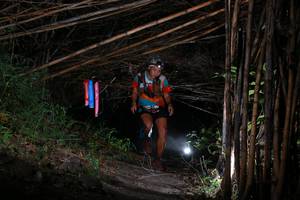 BIB: 
                            <button type="button" onclick="openModal(13574307)" class="btn btn-primary btn-sm float-right btn-popup" data-toggle="modal" data-target=".modal-high-quality">
                        <i class="fas fa-shopping-cart"></i> Add to Cart
                    </button>
                                            <button type="button" onclick="isThisMe(13574307, true)" class="btn btn-success btn-sm float-right btn-popup btn-isme hidden" data-toggle="tooltip" data-placement="bottom" title="นี่คือรูปของคุณใช่ไหม คลิกที่นี่เพื่อเอาเข้าอัลบั้ม">
                        <i class="fas fa-plus"></i> Add to album
                    </button>
                    <button type="button" onclick="isThisMe(13574307, false)" class="btn btn-warning btn-sm float-right btn-popup btn-isnotme hidden">
                        <i class="fas fa-ban"></i> Remove from album
                    </button>