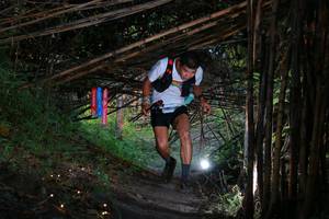 BIB: 
                            <button type="button" onclick="openModal(13574608)" class="btn btn-primary btn-sm float-right btn-popup" data-toggle="modal" data-target=".modal-high-quality">
                        <i class="fas fa-shopping-cart"></i> Add to Cart
                    </button>
                                            <button type="button" onclick="isThisMe(13574608, true)" class="btn btn-success btn-sm float-right btn-popup btn-isme hidden" data-toggle="tooltip" data-placement="bottom" title="นี่คือรูปของคุณใช่ไหม คลิกที่นี่เพื่อเอาเข้าอัลบั้ม">
                        <i class="fas fa-plus"></i> Add to album
                    </button>
                    <button type="button" onclick="isThisMe(13574608, false)" class="btn btn-warning btn-sm float-right btn-popup btn-isnotme hidden">
                        <i class="fas fa-ban"></i> Remove from album
                    </button>