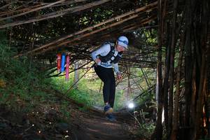 BIB: 
                            <button type="button" onclick="openModal(13581258)" class="btn btn-primary btn-sm float-right btn-popup" data-toggle="modal" data-target=".modal-high-quality">
                        <i class="fas fa-shopping-cart"></i> Add to Cart
                    </button>
                                            <button type="button" onclick="isThisMe(13581258, true)" class="btn btn-success btn-sm float-right btn-popup btn-isme hidden" data-toggle="tooltip" data-placement="bottom" title="นี่คือรูปของคุณใช่ไหม คลิกที่นี่เพื่อเอาเข้าอัลบั้ม">
                        <i class="fas fa-plus"></i> Add to album
                    </button>
                    <button type="button" onclick="isThisMe(13581258, false)" class="btn btn-warning btn-sm float-right btn-popup btn-isnotme hidden">
                        <i class="fas fa-ban"></i> Remove from album
                    </button>