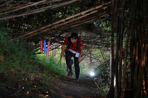 BIB: 
                            <button type="button" onclick="openModal(13580999)" class="btn btn-primary btn-sm float-right btn-popup" data-toggle="modal" data-target=".modal-high-quality">
                        <i class="fas fa-shopping-cart"></i> Add to Cart
                    </button>
                                            <button type="button" onclick="isThisMe(13580999, true)" class="btn btn-success btn-sm float-right btn-popup btn-isme hidden" data-toggle="tooltip" data-placement="bottom" title="นี่คือรูปของคุณใช่ไหม คลิกที่นี่เพื่อเอาเข้าอัลบั้ม">
                        <i class="fas fa-plus"></i> Add to album
                    </button>
                    <button type="button" onclick="isThisMe(13580999, false)" class="btn btn-warning btn-sm float-right btn-popup btn-isnotme hidden">
                        <i class="fas fa-ban"></i> Remove from album
                    </button>