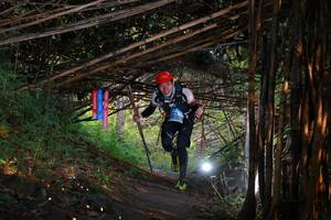 BIB: 
                            <button type="button" onclick="openModal(13580529)" class="btn btn-primary btn-sm float-right btn-popup" data-toggle="modal" data-target=".modal-high-quality">
                        <i class="fas fa-shopping-cart"></i> Add to Cart
                    </button>
                                            <button type="button" onclick="isThisMe(13580529, true)" class="btn btn-success btn-sm float-right btn-popup btn-isme hidden" data-toggle="tooltip" data-placement="bottom" title="นี่คือรูปของคุณใช่ไหม คลิกที่นี่เพื่อเอาเข้าอัลบั้ม">
                        <i class="fas fa-plus"></i> Add to album
                    </button>
                    <button type="button" onclick="isThisMe(13580529, false)" class="btn btn-warning btn-sm float-right btn-popup btn-isnotme hidden">
                        <i class="fas fa-ban"></i> Remove from album
                    </button>