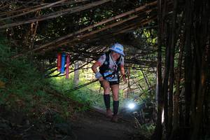 BIB: 
                            <button type="button" onclick="openModal(13587037)" class="btn btn-primary btn-sm float-right btn-popup" data-toggle="modal" data-target=".modal-high-quality">
                        <i class="fas fa-shopping-cart"></i> Add to Cart
                    </button>
                                            <button type="button" onclick="isThisMe(13587037, true)" class="btn btn-success btn-sm float-right btn-popup btn-isme hidden" data-toggle="tooltip" data-placement="bottom" title="นี่คือรูปของคุณใช่ไหม คลิกที่นี่เพื่อเอาเข้าอัลบั้ม">
                        <i class="fas fa-plus"></i> Add to album
                    </button>
                    <button type="button" onclick="isThisMe(13587037, false)" class="btn btn-warning btn-sm float-right btn-popup btn-isnotme hidden">
                        <i class="fas fa-ban"></i> Remove from album
                    </button>