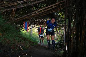 BIB: 
                            <button type="button" onclick="openModal(13587053)" class="btn btn-primary btn-sm float-right btn-popup" data-toggle="modal" data-target=".modal-high-quality">
                        <i class="fas fa-shopping-cart"></i> Add to Cart
                    </button>
                                            <button type="button" onclick="isThisMe(13587053, true)" class="btn btn-success btn-sm float-right btn-popup btn-isme hidden" data-toggle="tooltip" data-placement="bottom" title="นี่คือรูปของคุณใช่ไหม คลิกที่นี่เพื่อเอาเข้าอัลบั้ม">
                        <i class="fas fa-plus"></i> Add to album
                    </button>
                    <button type="button" onclick="isThisMe(13587053, false)" class="btn btn-warning btn-sm float-right btn-popup btn-isnotme hidden">
                        <i class="fas fa-ban"></i> Remove from album
                    </button>