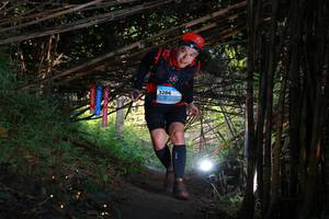 BIB: 
                            <button type="button" onclick="openModal(13587411)" class="btn btn-primary btn-sm float-right btn-popup" data-toggle="modal" data-target=".modal-high-quality">
                        <i class="fas fa-shopping-cart"></i> Add to Cart
                    </button>
                                            <button type="button" onclick="isThisMe(13587411, true)" class="btn btn-success btn-sm float-right btn-popup btn-isme hidden" data-toggle="tooltip" data-placement="bottom" title="นี่คือรูปของคุณใช่ไหม คลิกที่นี่เพื่อเอาเข้าอัลบั้ม">
                        <i class="fas fa-plus"></i> Add to album
                    </button>
                    <button type="button" onclick="isThisMe(13587411, false)" class="btn btn-warning btn-sm float-right btn-popup btn-isnotme hidden">
                        <i class="fas fa-ban"></i> Remove from album
                    </button>