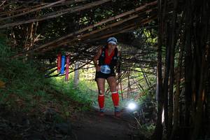 BIB: 
                            <button type="button" onclick="openModal(13587367)" class="btn btn-primary btn-sm float-right btn-popup" data-toggle="modal" data-target=".modal-high-quality">
                        <i class="fas fa-shopping-cart"></i> Add to Cart
                    </button>
                                            <button type="button" onclick="isThisMe(13587367, true)" class="btn btn-success btn-sm float-right btn-popup btn-isme hidden" data-toggle="tooltip" data-placement="bottom" title="นี่คือรูปของคุณใช่ไหม คลิกที่นี่เพื่อเอาเข้าอัลบั้ม">
                        <i class="fas fa-plus"></i> Add to album
                    </button>
                    <button type="button" onclick="isThisMe(13587367, false)" class="btn btn-warning btn-sm float-right btn-popup btn-isnotme hidden">
                        <i class="fas fa-ban"></i> Remove from album
                    </button>