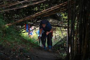 BIB: 
                            <button type="button" onclick="openModal(13590781)" class="btn btn-primary btn-sm float-right btn-popup" data-toggle="modal" data-target=".modal-high-quality">
                        <i class="fas fa-shopping-cart"></i> Add to Cart
                    </button>
                                            <button type="button" onclick="isThisMe(13590781, true)" class="btn btn-success btn-sm float-right btn-popup btn-isme hidden" data-toggle="tooltip" data-placement="bottom" title="นี่คือรูปของคุณใช่ไหม คลิกที่นี่เพื่อเอาเข้าอัลบั้ม">
                        <i class="fas fa-plus"></i> Add to album
                    </button>
                    <button type="button" onclick="isThisMe(13590781, false)" class="btn btn-warning btn-sm float-right btn-popup btn-isnotme hidden">
                        <i class="fas fa-ban"></i> Remove from album
                    </button>