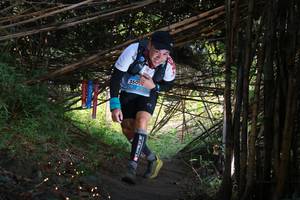 BIB: 
                            <button type="button" onclick="openModal(13591485)" class="btn btn-primary btn-sm float-right btn-popup" data-toggle="modal" data-target=".modal-high-quality">
                        <i class="fas fa-shopping-cart"></i> Add to Cart
                    </button>
                                            <button type="button" onclick="isThisMe(13591485, true)" class="btn btn-success btn-sm float-right btn-popup btn-isme hidden" data-toggle="tooltip" data-placement="bottom" title="นี่คือรูปของคุณใช่ไหม คลิกที่นี่เพื่อเอาเข้าอัลบั้ม">
                        <i class="fas fa-plus"></i> Add to album
                    </button>
                    <button type="button" onclick="isThisMe(13591485, false)" class="btn btn-warning btn-sm float-right btn-popup btn-isnotme hidden">
                        <i class="fas fa-ban"></i> Remove from album
                    </button>