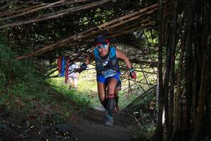 BIB: 
                            <button type="button" onclick="openModal(13591264)" class="btn btn-primary btn-sm float-right btn-popup" data-toggle="modal" data-target=".modal-high-quality">
                        <i class="fas fa-shopping-cart"></i> Add to Cart
                    </button>
                                            <button type="button" onclick="isThisMe(13591264, true)" class="btn btn-success btn-sm float-right btn-popup btn-isme hidden" data-toggle="tooltip" data-placement="bottom" title="นี่คือรูปของคุณใช่ไหม คลิกที่นี่เพื่อเอาเข้าอัลบั้ม">
                        <i class="fas fa-plus"></i> Add to album
                    </button>
                    <button type="button" onclick="isThisMe(13591264, false)" class="btn btn-warning btn-sm float-right btn-popup btn-isnotme hidden">
                        <i class="fas fa-ban"></i> Remove from album
                    </button>