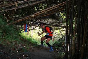 BIB: 
                            <button type="button" onclick="openModal(13591752)" class="btn btn-primary btn-sm float-right btn-popup" data-toggle="modal" data-target=".modal-high-quality">
                        <i class="fas fa-shopping-cart"></i> Add to Cart
                    </button>
                                            <button type="button" onclick="isThisMe(13591752, true)" class="btn btn-success btn-sm float-right btn-popup btn-isme hidden" data-toggle="tooltip" data-placement="bottom" title="นี่คือรูปของคุณใช่ไหม คลิกที่นี่เพื่อเอาเข้าอัลบั้ม">
                        <i class="fas fa-plus"></i> Add to album
                    </button>
                    <button type="button" onclick="isThisMe(13591752, false)" class="btn btn-warning btn-sm float-right btn-popup btn-isnotme hidden">
                        <i class="fas fa-ban"></i> Remove from album
                    </button>