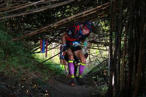 BIB: 
                            <button type="button" onclick="openModal(13591321)" class="btn btn-primary btn-sm float-right btn-popup" data-toggle="modal" data-target=".modal-high-quality">
                        <i class="fas fa-shopping-cart"></i> Add to Cart
                    </button>
                                            <button type="button" onclick="isThisMe(13591321, true)" class="btn btn-success btn-sm float-right btn-popup btn-isme hidden" data-toggle="tooltip" data-placement="bottom" title="นี่คือรูปของคุณใช่ไหม คลิกที่นี่เพื่อเอาเข้าอัลบั้ม">
                        <i class="fas fa-plus"></i> Add to album
                    </button>
                    <button type="button" onclick="isThisMe(13591321, false)" class="btn btn-warning btn-sm float-right btn-popup btn-isnotme hidden">
                        <i class="fas fa-ban"></i> Remove from album
                    </button>