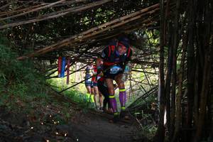 BIB: 
                            <button type="button" onclick="openModal(13591319)" class="btn btn-primary btn-sm float-right btn-popup" data-toggle="modal" data-target=".modal-high-quality">
                        <i class="fas fa-shopping-cart"></i> Add to Cart
                    </button>
                                            <button type="button" onclick="isThisMe(13591319, true)" class="btn btn-success btn-sm float-right btn-popup btn-isme hidden" data-toggle="tooltip" data-placement="bottom" title="นี่คือรูปของคุณใช่ไหม คลิกที่นี่เพื่อเอาเข้าอัลบั้ม">
                        <i class="fas fa-plus"></i> Add to album
                    </button>
                    <button type="button" onclick="isThisMe(13591319, false)" class="btn btn-warning btn-sm float-right btn-popup btn-isnotme hidden">
                        <i class="fas fa-ban"></i> Remove from album
                    </button>