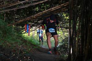 BIB: 
                            <button type="button" onclick="openModal(13590043)" class="btn btn-primary btn-sm float-right btn-popup" data-toggle="modal" data-target=".modal-high-quality">
                        <i class="fas fa-shopping-cart"></i> Add to Cart
                    </button>
                                            <button type="button" onclick="isThisMe(13590043, true)" class="btn btn-success btn-sm float-right btn-popup btn-isme hidden" data-toggle="tooltip" data-placement="bottom" title="นี่คือรูปของคุณใช่ไหม คลิกที่นี่เพื่อเอาเข้าอัลบั้ม">
                        <i class="fas fa-plus"></i> Add to album
                    </button>
                    <button type="button" onclick="isThisMe(13590043, false)" class="btn btn-warning btn-sm float-right btn-popup btn-isnotme hidden">
                        <i class="fas fa-ban"></i> Remove from album
                    </button>