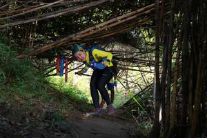 BIB: 
                            <button type="button" onclick="openModal(13594656)" class="btn btn-primary btn-sm float-right btn-popup" data-toggle="modal" data-target=".modal-high-quality">
                        <i class="fas fa-shopping-cart"></i> Add to Cart
                    </button>
                                            <button type="button" onclick="isThisMe(13594656, true)" class="btn btn-success btn-sm float-right btn-popup btn-isme hidden" data-toggle="tooltip" data-placement="bottom" title="นี่คือรูปของคุณใช่ไหม คลิกที่นี่เพื่อเอาเข้าอัลบั้ม">
                        <i class="fas fa-plus"></i> Add to album
                    </button>
                    <button type="button" onclick="isThisMe(13594656, false)" class="btn btn-warning btn-sm float-right btn-popup btn-isnotme hidden">
                        <i class="fas fa-ban"></i> Remove from album
                    </button>