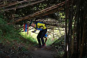 BIB: 
                            <button type="button" onclick="openModal(13594638)" class="btn btn-primary btn-sm float-right btn-popup" data-toggle="modal" data-target=".modal-high-quality">
                        <i class="fas fa-shopping-cart"></i> Add to Cart
                    </button>
                                            <button type="button" onclick="isThisMe(13594638, true)" class="btn btn-success btn-sm float-right btn-popup btn-isme hidden" data-toggle="tooltip" data-placement="bottom" title="นี่คือรูปของคุณใช่ไหม คลิกที่นี่เพื่อเอาเข้าอัลบั้ม">
                        <i class="fas fa-plus"></i> Add to album
                    </button>
                    <button type="button" onclick="isThisMe(13594638, false)" class="btn btn-warning btn-sm float-right btn-popup btn-isnotme hidden">
                        <i class="fas fa-ban"></i> Remove from album
                    </button>