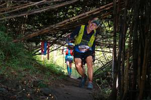 BIB: 
                            <button type="button" onclick="openModal(13594706)" class="btn btn-primary btn-sm float-right btn-popup" data-toggle="modal" data-target=".modal-high-quality">
                        <i class="fas fa-shopping-cart"></i> Add to Cart
                    </button>
                                            <button type="button" onclick="isThisMe(13594706, true)" class="btn btn-success btn-sm float-right btn-popup btn-isme hidden" data-toggle="tooltip" data-placement="bottom" title="นี่คือรูปของคุณใช่ไหม คลิกที่นี่เพื่อเอาเข้าอัลบั้ม">
                        <i class="fas fa-plus"></i> Add to album
                    </button>
                    <button type="button" onclick="isThisMe(13594706, false)" class="btn btn-warning btn-sm float-right btn-popup btn-isnotme hidden">
                        <i class="fas fa-ban"></i> Remove from album
                    </button>