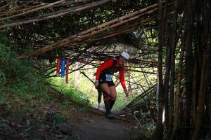 BIB: 
                            <button type="button" onclick="openModal(13595123)" class="btn btn-primary btn-sm float-right btn-popup" data-toggle="modal" data-target=".modal-high-quality">
                        <i class="fas fa-shopping-cart"></i> Add to Cart
                    </button>
                                            <button type="button" onclick="isThisMe(13595123, true)" class="btn btn-success btn-sm float-right btn-popup btn-isme hidden" data-toggle="tooltip" data-placement="bottom" title="นี่คือรูปของคุณใช่ไหม คลิกที่นี่เพื่อเอาเข้าอัลบั้ม">
                        <i class="fas fa-plus"></i> Add to album
                    </button>
                    <button type="button" onclick="isThisMe(13595123, false)" class="btn btn-warning btn-sm float-right btn-popup btn-isnotme hidden">
                        <i class="fas fa-ban"></i> Remove from album
                    </button>