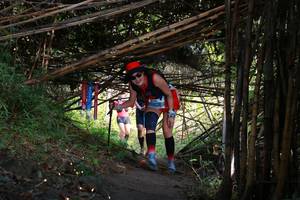 BIB: 
                            <button type="button" onclick="openModal(13594254)" class="btn btn-primary btn-sm float-right btn-popup" data-toggle="modal" data-target=".modal-high-quality">
                        <i class="fas fa-shopping-cart"></i> Add to Cart
                    </button>
                                            <button type="button" onclick="isThisMe(13594254, true)" class="btn btn-success btn-sm float-right btn-popup btn-isme hidden" data-toggle="tooltip" data-placement="bottom" title="นี่คือรูปของคุณใช่ไหม คลิกที่นี่เพื่อเอาเข้าอัลบั้ม">
                        <i class="fas fa-plus"></i> Add to album
                    </button>
                    <button type="button" onclick="isThisMe(13594254, false)" class="btn btn-warning btn-sm float-right btn-popup btn-isnotme hidden">
                        <i class="fas fa-ban"></i> Remove from album
                    </button>