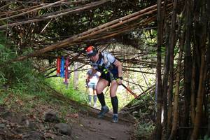 BIB: 
                            <button type="button" onclick="openModal(13597537)" class="btn btn-primary btn-sm float-right btn-popup" data-toggle="modal" data-target=".modal-high-quality">
                        <i class="fas fa-shopping-cart"></i> Add to Cart
                    </button>
                                            <button type="button" onclick="isThisMe(13597537, true)" class="btn btn-success btn-sm float-right btn-popup btn-isme hidden" data-toggle="tooltip" data-placement="bottom" title="นี่คือรูปของคุณใช่ไหม คลิกที่นี่เพื่อเอาเข้าอัลบั้ม">
                        <i class="fas fa-plus"></i> Add to album
                    </button>
                    <button type="button" onclick="isThisMe(13597537, false)" class="btn btn-warning btn-sm float-right btn-popup btn-isnotme hidden">
                        <i class="fas fa-ban"></i> Remove from album
                    </button>