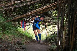 BIB: 
                            <button type="button" onclick="openModal(13597130)" class="btn btn-primary btn-sm float-right btn-popup" data-toggle="modal" data-target=".modal-high-quality">
                        <i class="fas fa-shopping-cart"></i> Add to Cart
                    </button>
                                            <button type="button" onclick="isThisMe(13597130, true)" class="btn btn-success btn-sm float-right btn-popup btn-isme hidden" data-toggle="tooltip" data-placement="bottom" title="นี่คือรูปของคุณใช่ไหม คลิกที่นี่เพื่อเอาเข้าอัลบั้ม">
                        <i class="fas fa-plus"></i> Add to album
                    </button>
                    <button type="button" onclick="isThisMe(13597130, false)" class="btn btn-warning btn-sm float-right btn-popup btn-isnotme hidden">
                        <i class="fas fa-ban"></i> Remove from album
                    </button>