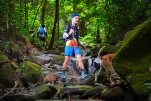 BIB: 
                            <button type="button" onclick="openModal(13544352)" class="btn btn-primary btn-sm float-right btn-popup" data-toggle="modal" data-target=".modal-high-quality">
                        <i class="fas fa-shopping-cart"></i> Add to Cart
                    </button>
                                            <button type="button" onclick="isThisMe(13544352, true)" class="btn btn-success btn-sm float-right btn-popup btn-isme hidden" data-toggle="tooltip" data-placement="bottom" title="นี่คือรูปของคุณใช่ไหม คลิกที่นี่เพื่อเอาเข้าอัลบั้ม">
                        <i class="fas fa-plus"></i> Add to album
                    </button>
                    <button type="button" onclick="isThisMe(13544352, false)" class="btn btn-warning btn-sm float-right btn-popup btn-isnotme hidden">
                        <i class="fas fa-ban"></i> Remove from album
                    </button>