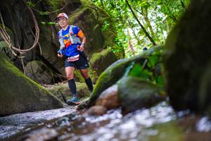 BIB: 
                            <button type="button" onclick="openModal(13544201)" class="btn btn-primary btn-sm float-right btn-popup" data-toggle="modal" data-target=".modal-high-quality">
                        <i class="fas fa-shopping-cart"></i> Add to Cart
                    </button>
                                            <button type="button" onclick="isThisMe(13544201, true)" class="btn btn-success btn-sm float-right btn-popup btn-isme hidden" data-toggle="tooltip" data-placement="bottom" title="นี่คือรูปของคุณใช่ไหม คลิกที่นี่เพื่อเอาเข้าอัลบั้ม">
                        <i class="fas fa-plus"></i> Add to album
                    </button>
                    <button type="button" onclick="isThisMe(13544201, false)" class="btn btn-warning btn-sm float-right btn-popup btn-isnotme hidden">
                        <i class="fas fa-ban"></i> Remove from album
                    </button>