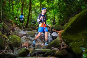 BIB: 
                            <button type="button" onclick="openModal(13544353)" class="btn btn-primary btn-sm float-right btn-popup" data-toggle="modal" data-target=".modal-high-quality">
                        <i class="fas fa-shopping-cart"></i> Add to Cart
                    </button>
                                            <button type="button" onclick="isThisMe(13544353, true)" class="btn btn-success btn-sm float-right btn-popup btn-isme hidden" data-toggle="tooltip" data-placement="bottom" title="นี่คือรูปของคุณใช่ไหม คลิกที่นี่เพื่อเอาเข้าอัลบั้ม">
                        <i class="fas fa-plus"></i> Add to album
                    </button>
                    <button type="button" onclick="isThisMe(13544353, false)" class="btn btn-warning btn-sm float-right btn-popup btn-isnotme hidden">
                        <i class="fas fa-ban"></i> Remove from album
                    </button>