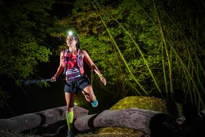 BIB: 
                            <button type="button" onclick="openModal(13548185)" class="btn btn-primary btn-sm float-right btn-popup" data-toggle="modal" data-target=".modal-high-quality">
                        <i class="fas fa-shopping-cart"></i> Add to Cart
                    </button>
                                            <button type="button" onclick="isThisMe(13548185, true)" class="btn btn-success btn-sm float-right btn-popup btn-isme hidden" data-toggle="tooltip" data-placement="bottom" title="นี่คือรูปของคุณใช่ไหม คลิกที่นี่เพื่อเอาเข้าอัลบั้ม">
                        <i class="fas fa-plus"></i> Add to album
                    </button>
                    <button type="button" onclick="isThisMe(13548185, false)" class="btn btn-warning btn-sm float-right btn-popup btn-isnotme hidden">
                        <i class="fas fa-ban"></i> Remove from album
                    </button>