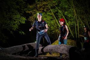 BIB: 
                            <button type="button" onclick="openModal(13581239)" class="btn btn-primary btn-sm float-right btn-popup" data-toggle="modal" data-target=".modal-high-quality">
                        <i class="fas fa-shopping-cart"></i> Add to Cart
                    </button>
                                            <button type="button" onclick="isThisMe(13581239, true)" class="btn btn-success btn-sm float-right btn-popup btn-isme hidden" data-toggle="tooltip" data-placement="bottom" title="นี่คือรูปของคุณใช่ไหม คลิกที่นี่เพื่อเอาเข้าอัลบั้ม">
                        <i class="fas fa-plus"></i> Add to album
                    </button>
                    <button type="button" onclick="isThisMe(13581239, false)" class="btn btn-warning btn-sm float-right btn-popup btn-isnotme hidden">
                        <i class="fas fa-ban"></i> Remove from album
                    </button>