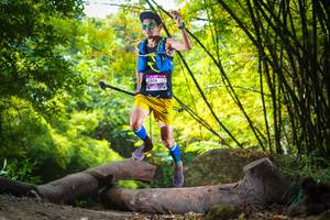 BIB: 
                            <button type="button" onclick="openModal(13593527)" class="btn btn-primary btn-sm float-right btn-popup" data-toggle="modal" data-target=".modal-high-quality">
                        <i class="fas fa-shopping-cart"></i> Add to Cart
                    </button>
                                            <button type="button" onclick="isThisMe(13593527, true)" class="btn btn-success btn-sm float-right btn-popup btn-isme hidden" data-toggle="tooltip" data-placement="bottom" title="นี่คือรูปของคุณใช่ไหม คลิกที่นี่เพื่อเอาเข้าอัลบั้ม">
                        <i class="fas fa-plus"></i> Add to album
                    </button>
                    <button type="button" onclick="isThisMe(13593527, false)" class="btn btn-warning btn-sm float-right btn-popup btn-isnotme hidden">
                        <i class="fas fa-ban"></i> Remove from album
                    </button>