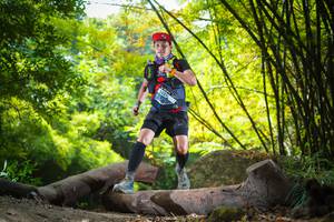 BIB: 
                            <button type="button" onclick="openModal(13593590)" class="btn btn-primary btn-sm float-right btn-popup" data-toggle="modal" data-target=".modal-high-quality">
                        <i class="fas fa-shopping-cart"></i> Add to Cart
                    </button>
                                            <button type="button" onclick="isThisMe(13593590, true)" class="btn btn-success btn-sm float-right btn-popup btn-isme hidden" data-toggle="tooltip" data-placement="bottom" title="นี่คือรูปของคุณใช่ไหม คลิกที่นี่เพื่อเอาเข้าอัลบั้ม">
                        <i class="fas fa-plus"></i> Add to album
                    </button>
                    <button type="button" onclick="isThisMe(13593590, false)" class="btn btn-warning btn-sm float-right btn-popup btn-isnotme hidden">
                        <i class="fas fa-ban"></i> Remove from album
                    </button>