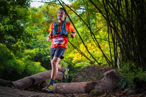 BIB: 
                            <button type="button" onclick="openModal(13591671)" class="btn btn-primary btn-sm float-right btn-popup" data-toggle="modal" data-target=".modal-high-quality">
                        <i class="fas fa-shopping-cart"></i> Add to Cart
                    </button>
                                            <button type="button" onclick="isThisMe(13591671, true)" class="btn btn-success btn-sm float-right btn-popup btn-isme hidden" data-toggle="tooltip" data-placement="bottom" title="นี่คือรูปของคุณใช่ไหม คลิกที่นี่เพื่อเอาเข้าอัลบั้ม">
                        <i class="fas fa-plus"></i> Add to album
                    </button>
                    <button type="button" onclick="isThisMe(13591671, false)" class="btn btn-warning btn-sm float-right btn-popup btn-isnotme hidden">
                        <i class="fas fa-ban"></i> Remove from album
                    </button>