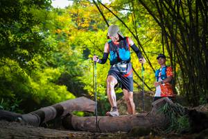 BIB: 
                            <button type="button" onclick="openModal(13595425)" class="btn btn-primary btn-sm float-right btn-popup" data-toggle="modal" data-target=".modal-high-quality">
                        <i class="fas fa-shopping-cart"></i> Add to Cart
                    </button>
                                            <button type="button" onclick="isThisMe(13595425, true)" class="btn btn-success btn-sm float-right btn-popup btn-isme hidden" data-toggle="tooltip" data-placement="bottom" title="นี่คือรูปของคุณใช่ไหม คลิกที่นี่เพื่อเอาเข้าอัลบั้ม">
                        <i class="fas fa-plus"></i> Add to album
                    </button>
                    <button type="button" onclick="isThisMe(13595425, false)" class="btn btn-warning btn-sm float-right btn-popup btn-isnotme hidden">
                        <i class="fas fa-ban"></i> Remove from album
                    </button>