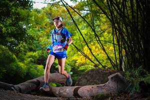 BIB: 
                            <button type="button" onclick="openModal(13592133)" class="btn btn-primary btn-sm float-right btn-popup" data-toggle="modal" data-target=".modal-high-quality">
                        <i class="fas fa-shopping-cart"></i> Add to Cart
                    </button>
                                            <button type="button" onclick="isThisMe(13592133, true)" class="btn btn-success btn-sm float-right btn-popup btn-isme hidden" data-toggle="tooltip" data-placement="bottom" title="นี่คือรูปของคุณใช่ไหม คลิกที่นี่เพื่อเอาเข้าอัลบั้ม">
                        <i class="fas fa-plus"></i> Add to album
                    </button>
                    <button type="button" onclick="isThisMe(13592133, false)" class="btn btn-warning btn-sm float-right btn-popup btn-isnotme hidden">
                        <i class="fas fa-ban"></i> Remove from album
                    </button>