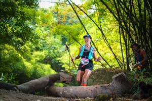 BIB: 
                            <button type="button" onclick="openModal(13593544)" class="btn btn-primary btn-sm float-right btn-popup" data-toggle="modal" data-target=".modal-high-quality">
                        <i class="fas fa-shopping-cart"></i> Add to Cart
                    </button>
                                            <button type="button" onclick="isThisMe(13593544, true)" class="btn btn-success btn-sm float-right btn-popup btn-isme hidden" data-toggle="tooltip" data-placement="bottom" title="นี่คือรูปของคุณใช่ไหม คลิกที่นี่เพื่อเอาเข้าอัลบั้ม">
                        <i class="fas fa-plus"></i> Add to album
                    </button>
                    <button type="button" onclick="isThisMe(13593544, false)" class="btn btn-warning btn-sm float-right btn-popup btn-isnotme hidden">
                        <i class="fas fa-ban"></i> Remove from album
                    </button>