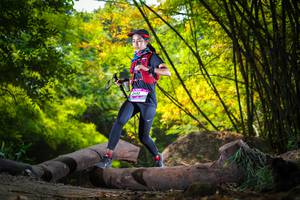 BIB: 
                            <button type="button" onclick="openModal(13595372)" class="btn btn-primary btn-sm float-right btn-popup" data-toggle="modal" data-target=".modal-high-quality">
                        <i class="fas fa-shopping-cart"></i> Add to Cart
                    </button>
                                            <button type="button" onclick="isThisMe(13595372, true)" class="btn btn-success btn-sm float-right btn-popup btn-isme hidden" data-toggle="tooltip" data-placement="bottom" title="นี่คือรูปของคุณใช่ไหม คลิกที่นี่เพื่อเอาเข้าอัลบั้ม">
                        <i class="fas fa-plus"></i> Add to album
                    </button>
                    <button type="button" onclick="isThisMe(13595372, false)" class="btn btn-warning btn-sm float-right btn-popup btn-isnotme hidden">
                        <i class="fas fa-ban"></i> Remove from album
                    </button>