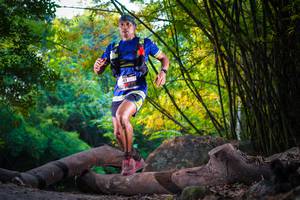 BIB: 
                            <button type="button" onclick="openModal(13589870)" class="btn btn-primary btn-sm float-right btn-popup" data-toggle="modal" data-target=".modal-high-quality">
                        <i class="fas fa-shopping-cart"></i> Add to Cart
                    </button>
                                            <button type="button" onclick="isThisMe(13589870, true)" class="btn btn-success btn-sm float-right btn-popup btn-isme hidden" data-toggle="tooltip" data-placement="bottom" title="นี่คือรูปของคุณใช่ไหม คลิกที่นี่เพื่อเอาเข้าอัลบั้ม">
                        <i class="fas fa-plus"></i> Add to album
                    </button>
                    <button type="button" onclick="isThisMe(13589870, false)" class="btn btn-warning btn-sm float-right btn-popup btn-isnotme hidden">
                        <i class="fas fa-ban"></i> Remove from album
                    </button>