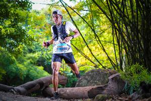 BIB: 
                            <button type="button" onclick="openModal(13590894)" class="btn btn-primary btn-sm float-right btn-popup" data-toggle="modal" data-target=".modal-high-quality">
                        <i class="fas fa-shopping-cart"></i> Add to Cart
                    </button>
                                            <button type="button" onclick="isThisMe(13590894, true)" class="btn btn-success btn-sm float-right btn-popup btn-isme hidden" data-toggle="tooltip" data-placement="bottom" title="นี่คือรูปของคุณใช่ไหม คลิกที่นี่เพื่อเอาเข้าอัลบั้ม">
                        <i class="fas fa-plus"></i> Add to album
                    </button>
                    <button type="button" onclick="isThisMe(13590894, false)" class="btn btn-warning btn-sm float-right btn-popup btn-isnotme hidden">
                        <i class="fas fa-ban"></i> Remove from album
                    </button>