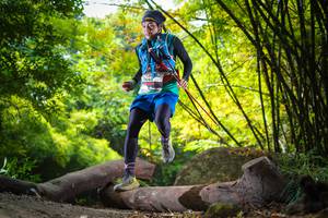 BIB: 
                            <button type="button" onclick="openModal(13593498)" class="btn btn-primary btn-sm float-right btn-popup" data-toggle="modal" data-target=".modal-high-quality">
                        <i class="fas fa-shopping-cart"></i> Add to Cart
                    </button>
                                            <button type="button" onclick="isThisMe(13593498, true)" class="btn btn-success btn-sm float-right btn-popup btn-isme hidden" data-toggle="tooltip" data-placement="bottom" title="นี่คือรูปของคุณใช่ไหม คลิกที่นี่เพื่อเอาเข้าอัลบั้ม">
                        <i class="fas fa-plus"></i> Add to album
                    </button>
                    <button type="button" onclick="isThisMe(13593498, false)" class="btn btn-warning btn-sm float-right btn-popup btn-isnotme hidden">
                        <i class="fas fa-ban"></i> Remove from album
                    </button>