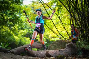 BIB: 
                            <button type="button" onclick="openModal(13593553)" class="btn btn-primary btn-sm float-right btn-popup" data-toggle="modal" data-target=".modal-high-quality">
                        <i class="fas fa-shopping-cart"></i> Add to Cart
                    </button>
                                            <button type="button" onclick="isThisMe(13593553, true)" class="btn btn-success btn-sm float-right btn-popup btn-isme hidden" data-toggle="tooltip" data-placement="bottom" title="นี่คือรูปของคุณใช่ไหม คลิกที่นี่เพื่อเอาเข้าอัลบั้ม">
                        <i class="fas fa-plus"></i> Add to album
                    </button>
                    <button type="button" onclick="isThisMe(13593553, false)" class="btn btn-warning btn-sm float-right btn-popup btn-isnotme hidden">
                        <i class="fas fa-ban"></i> Remove from album
                    </button>