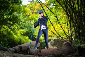 BIB: 
                            <button type="button" onclick="openModal(13595204)" class="btn btn-primary btn-sm float-right btn-popup" data-toggle="modal" data-target=".modal-high-quality">
                        <i class="fas fa-shopping-cart"></i> Add to Cart
                    </button>
                                            <button type="button" onclick="isThisMe(13595204, true)" class="btn btn-success btn-sm float-right btn-popup btn-isme hidden" data-toggle="tooltip" data-placement="bottom" title="นี่คือรูปของคุณใช่ไหม คลิกที่นี่เพื่อเอาเข้าอัลบั้ม">
                        <i class="fas fa-plus"></i> Add to album
                    </button>
                    <button type="button" onclick="isThisMe(13595204, false)" class="btn btn-warning btn-sm float-right btn-popup btn-isnotme hidden">
                        <i class="fas fa-ban"></i> Remove from album
                    </button>