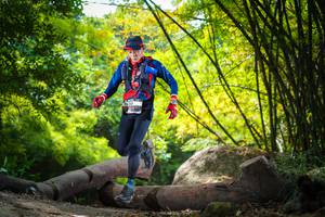 BIB: 
                            <button type="button" onclick="openModal(13595047)" class="btn btn-primary btn-sm float-right btn-popup" data-toggle="modal" data-target=".modal-high-quality">
                        <i class="fas fa-shopping-cart"></i> Add to Cart
                    </button>
                                            <button type="button" onclick="isThisMe(13595047, true)" class="btn btn-success btn-sm float-right btn-popup btn-isme hidden" data-toggle="tooltip" data-placement="bottom" title="นี่คือรูปของคุณใช่ไหม คลิกที่นี่เพื่อเอาเข้าอัลบั้ม">
                        <i class="fas fa-plus"></i> Add to album
                    </button>
                    <button type="button" onclick="isThisMe(13595047, false)" class="btn btn-warning btn-sm float-right btn-popup btn-isnotme hidden">
                        <i class="fas fa-ban"></i> Remove from album
                    </button>