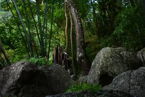 BIB: 
                            <button type="button" onclick="openModal(13592072)" class="btn btn-primary btn-sm float-right btn-popup" data-toggle="modal" data-target=".modal-high-quality">
                        <i class="fas fa-shopping-cart"></i> Add to Cart
                    </button>
                                            <button type="button" onclick="isThisMe(13592072, true)" class="btn btn-success btn-sm float-right btn-popup btn-isme hidden" data-toggle="tooltip" data-placement="bottom" title="นี่คือรูปของคุณใช่ไหม คลิกที่นี่เพื่อเอาเข้าอัลบั้ม">
                        <i class="fas fa-plus"></i> Add to album
                    </button>
                    <button type="button" onclick="isThisMe(13592072, false)" class="btn btn-warning btn-sm float-right btn-popup btn-isnotme hidden">
                        <i class="fas fa-ban"></i> Remove from album
                    </button>