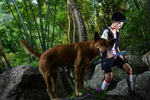 BIB: 
                            <button type="button" onclick="openModal(13592286)" class="btn btn-primary btn-sm float-right btn-popup" data-toggle="modal" data-target=".modal-high-quality">
                        <i class="fas fa-shopping-cart"></i> Add to Cart
                    </button>
                                            <button type="button" onclick="isThisMe(13592286, true)" class="btn btn-success btn-sm float-right btn-popup btn-isme hidden" data-toggle="tooltip" data-placement="bottom" title="นี่คือรูปของคุณใช่ไหม คลิกที่นี่เพื่อเอาเข้าอัลบั้ม">
                        <i class="fas fa-plus"></i> Add to album
                    </button>
                    <button type="button" onclick="isThisMe(13592286, false)" class="btn btn-warning btn-sm float-right btn-popup btn-isnotme hidden">
                        <i class="fas fa-ban"></i> Remove from album
                    </button>