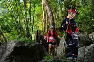 BIB: 
                            <button type="button" onclick="openModal(13593091)" class="btn btn-primary btn-sm float-right btn-popup" data-toggle="modal" data-target=".modal-high-quality">
                        <i class="fas fa-shopping-cart"></i> Add to Cart
                    </button>
                                            <button type="button" onclick="isThisMe(13593091, true)" class="btn btn-success btn-sm float-right btn-popup btn-isme hidden" data-toggle="tooltip" data-placement="bottom" title="นี่คือรูปของคุณใช่ไหม คลิกที่นี่เพื่อเอาเข้าอัลบั้ม">
                        <i class="fas fa-plus"></i> Add to album
                    </button>
                    <button type="button" onclick="isThisMe(13593091, false)" class="btn btn-warning btn-sm float-right btn-popup btn-isnotme hidden">
                        <i class="fas fa-ban"></i> Remove from album
                    </button>